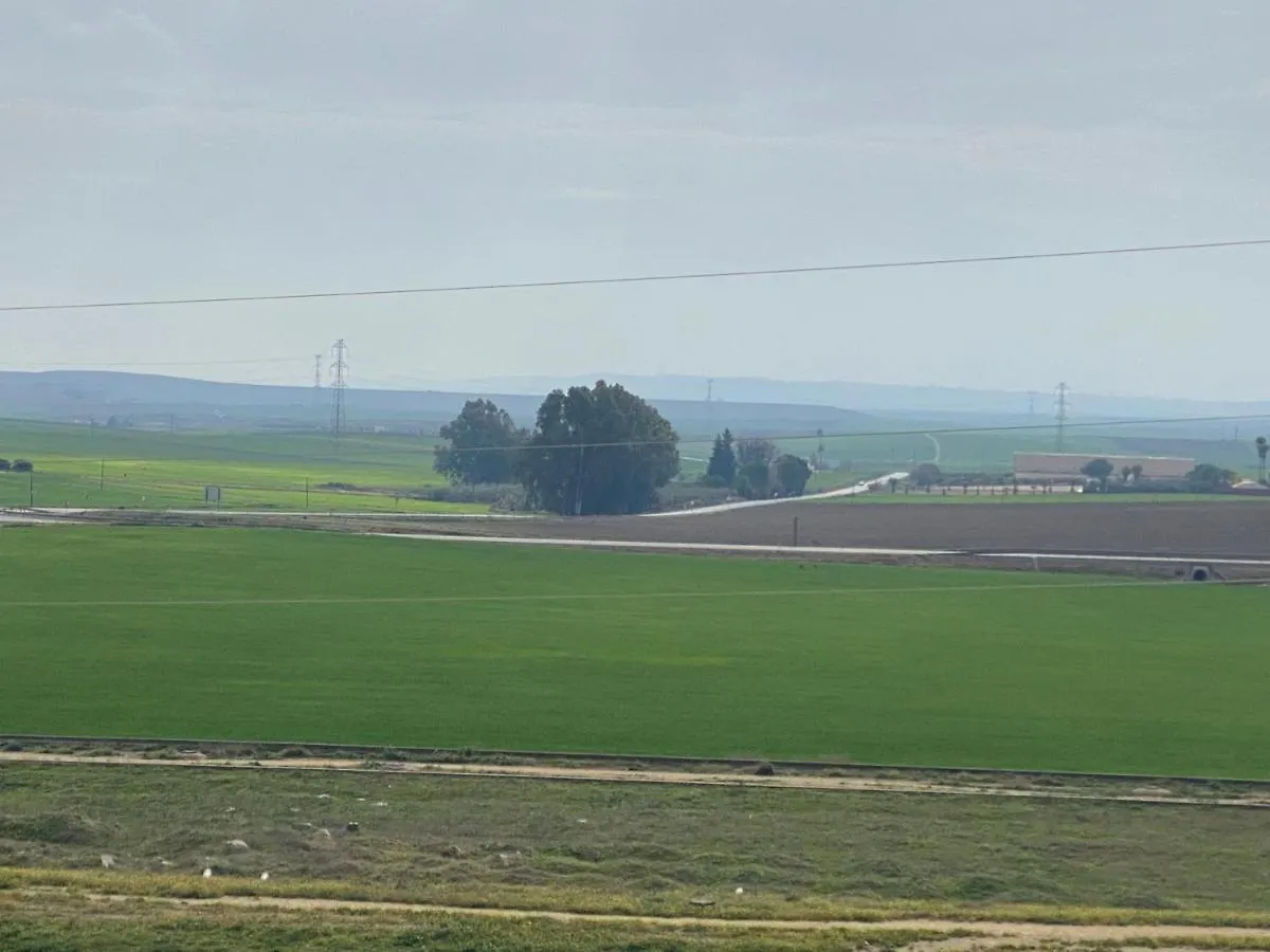 Sevilla. Gerena Casa Rural Para Familia O Profesionales 0*,  Spain